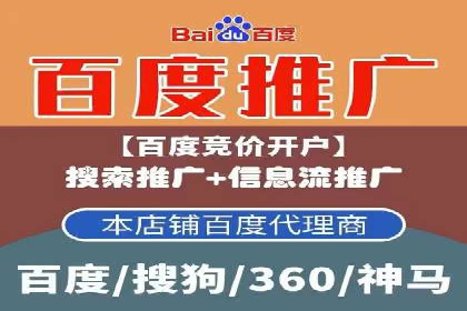 行业领先企业的网络推广与竞价经验